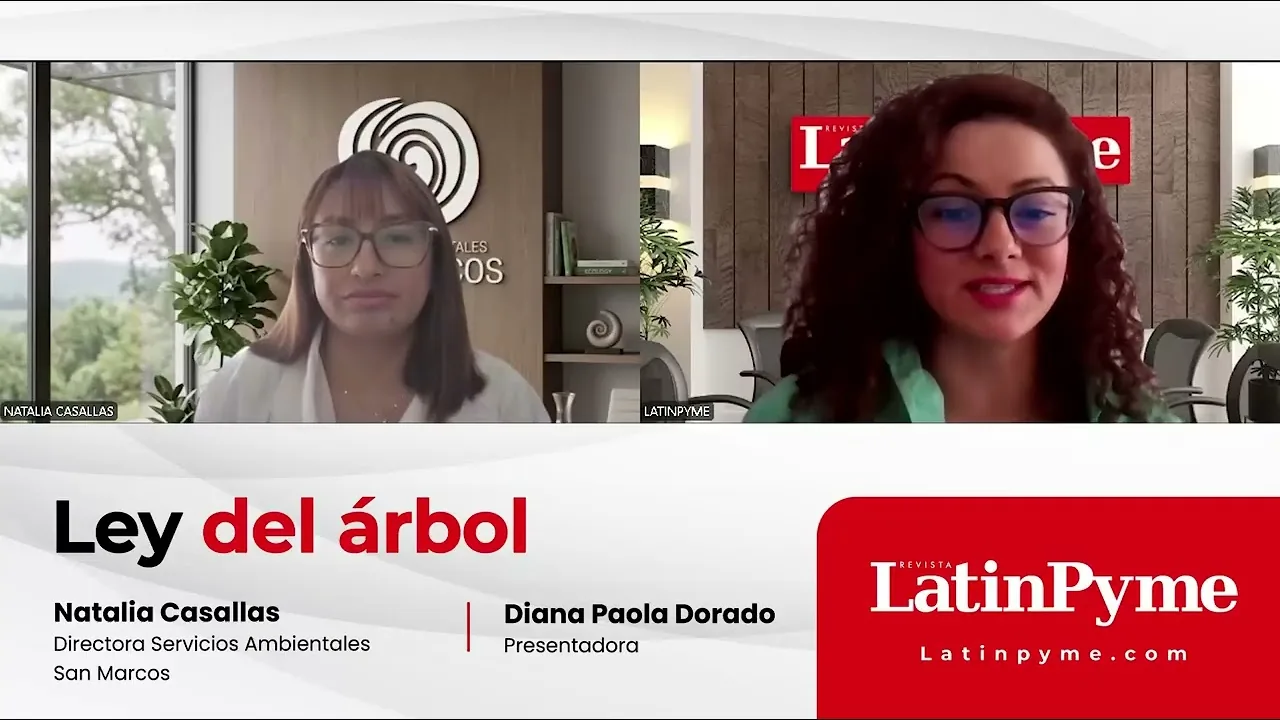 Fotograma de la entrevista de Revista LatinPyme sobre la Ley del Árbol