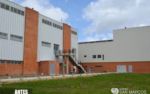 6B