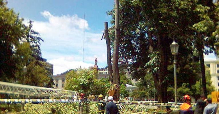 Asesorias-Ambientales-3