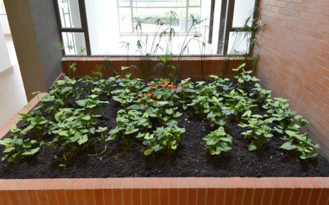 Urbanizacion1-16