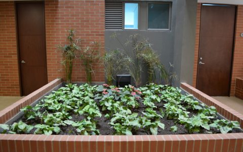 Urbanizacion1-5